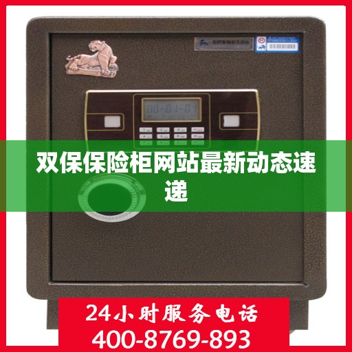 双保保险柜网站最新动态速递