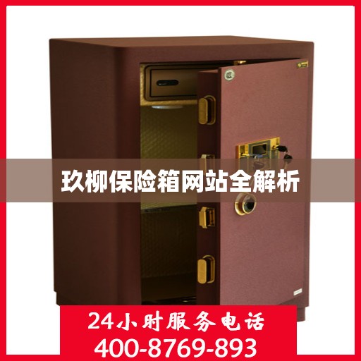 玖柳保险箱网站全解析