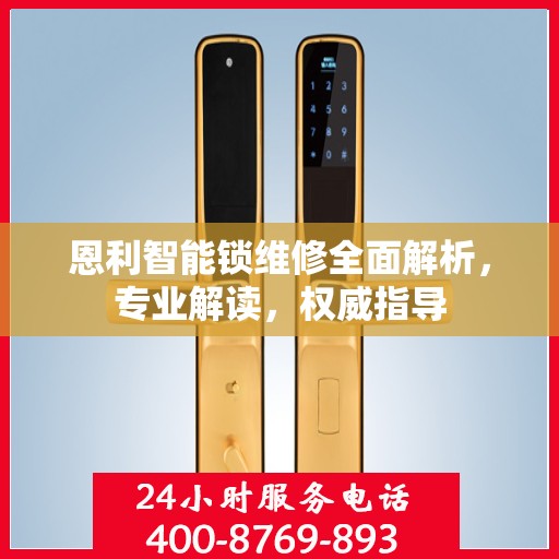 恩利智能锁维修全面解析，专业解读，权威指导