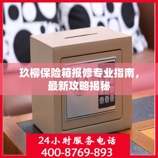 玖柳保险箱报修专业指南，最新攻略揭秘