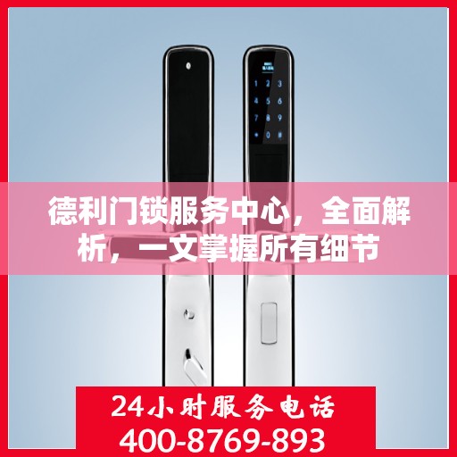 德利门锁服务中心，全面解析，一文掌握所有细节
