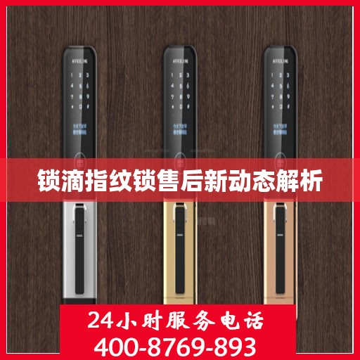 锁滴指纹锁售后新动态解析