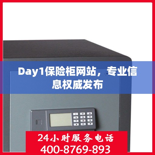 Day1保险柜网站，专业信息权威发布
