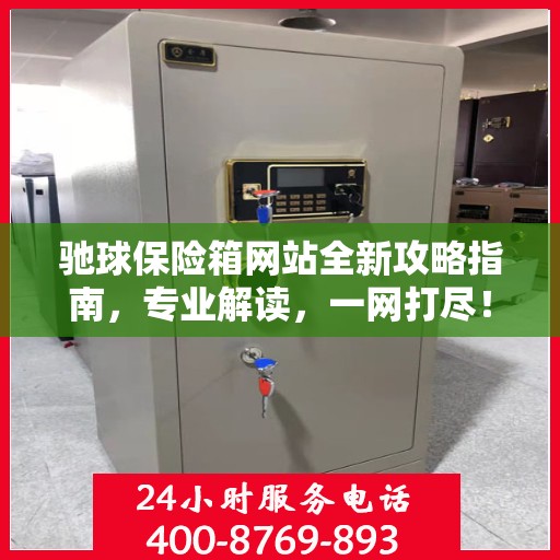 驰球保险箱网站全新攻略指南，专业解读，一网打尽！