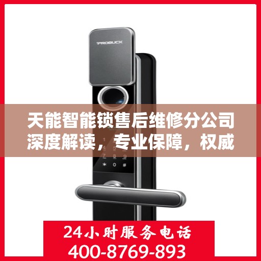 天能智能锁售后维修分公司深度解读，专业保障，权威声音