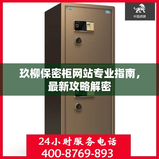 玖柳保密柜网站专业指南，最新攻略解密