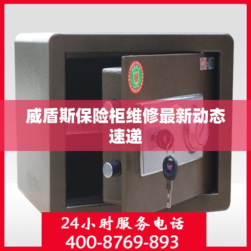 威盾斯保险柜维修最新动态速递