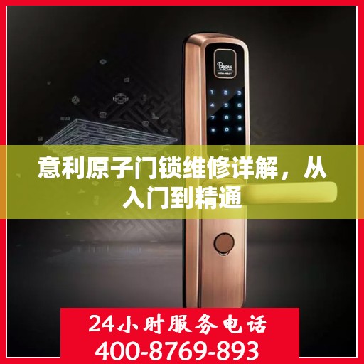 意利原子门锁维修详解，从入门到精通