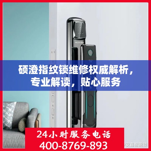 硕澄指纹锁维修权威解析，专业解读，贴心服务