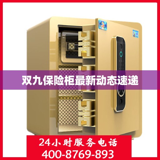 双九保险柜最新动态速递