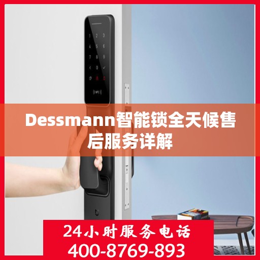 Dessmann智能锁全天候售后服务详解
