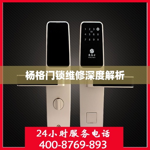 杨格门锁维修深度解析