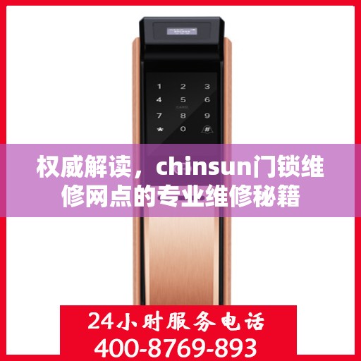权威解读，chinsun门锁维修网点的专业维修秘籍