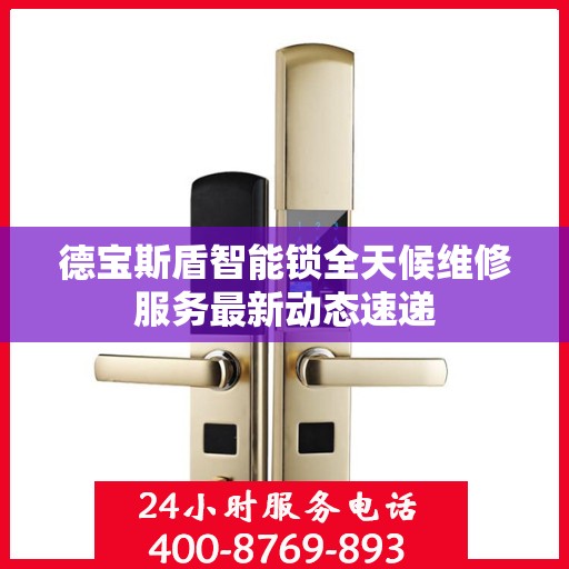 德宝斯盾智能锁全天候维修服务最新动态速递