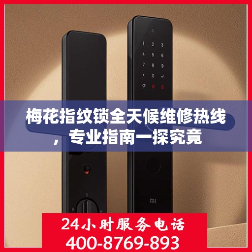 梅花指纹锁全天候维修热线，专业指南一探究竟