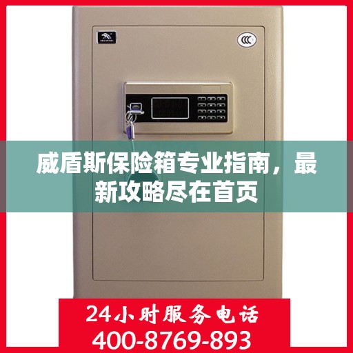威盾斯保险箱专业指南，最新攻略尽在首页