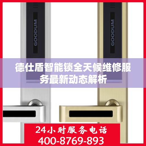 德仕盾智能锁全天候维修服务最新动态解析