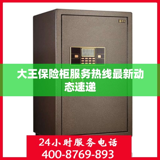 大王保险柜服务热线最新动态速递