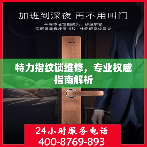 特力指纹锁维修，专业权威指南解析