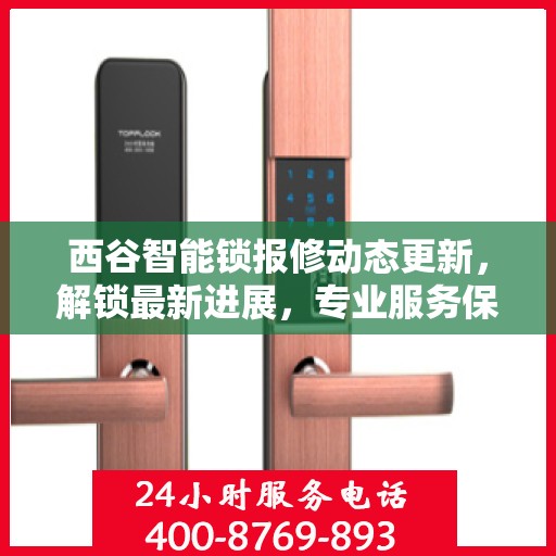 西谷智能锁报修动态更新，解锁最新进展，专业服务保障安全