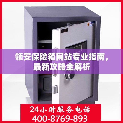 领安保险箱网站专业指南，最新攻略全解析