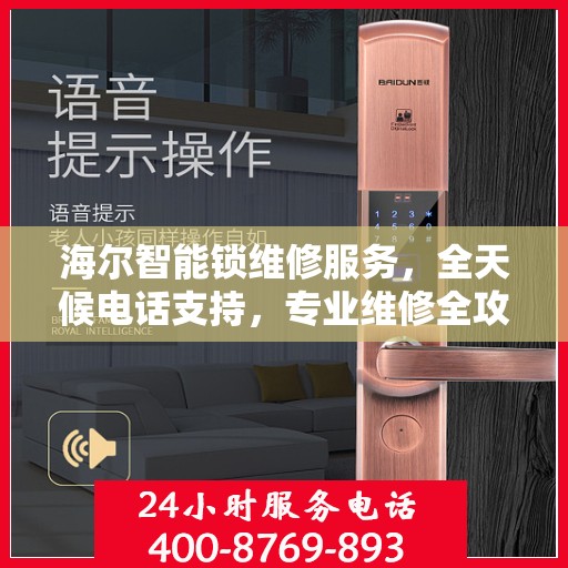 海尔智能锁维修服务，全天候电话支持，专业维修全攻略
