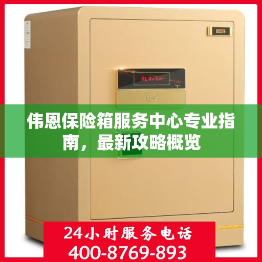 伟恩保险箱服务中心专业指南，最新攻略概览