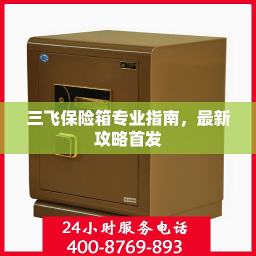 三飞保险箱专业指南，最新攻略首发