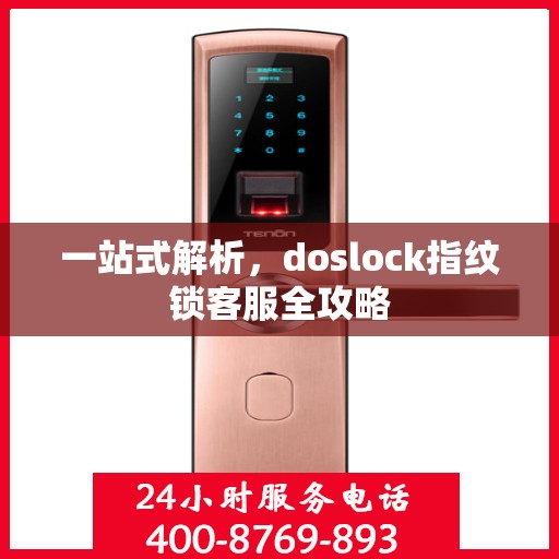 一站式解析，doslock指纹锁客服全攻略