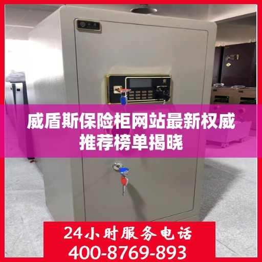 威盾斯保险柜网站最新权威推荐榜单揭晓