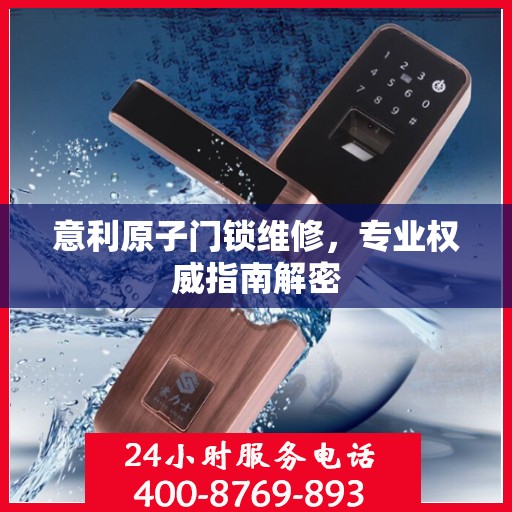 意利原子门锁维修，专业权威指南解密