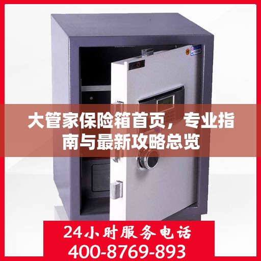 大管家保险箱首页，专业指南与最新攻略总览