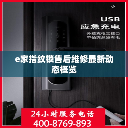 e家指纹锁售后维修最新动态概览