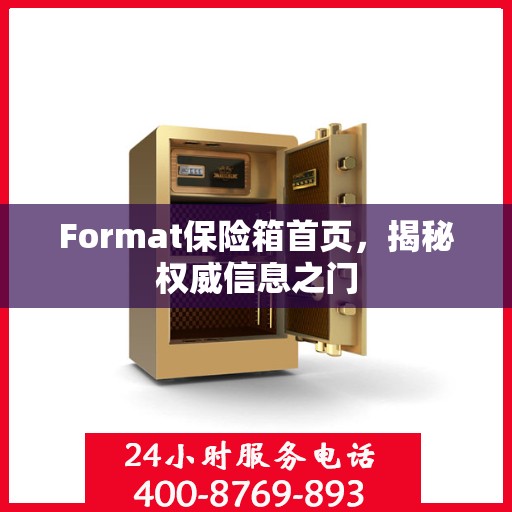 Format保险箱首页，揭秘权威信息之门