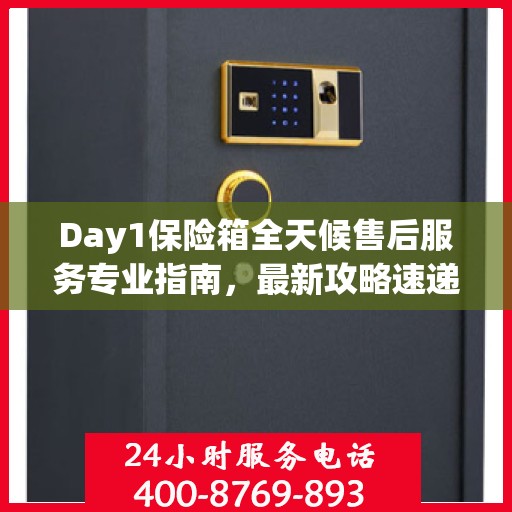 Day1保险箱全天候售后服务专业指南，最新攻略速递