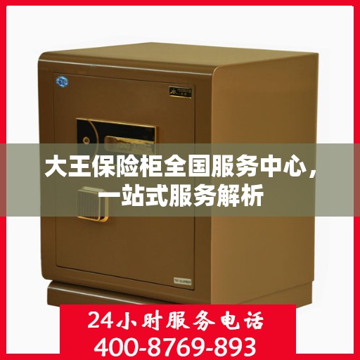 大王保险柜全国服务中心，一站式服务解析