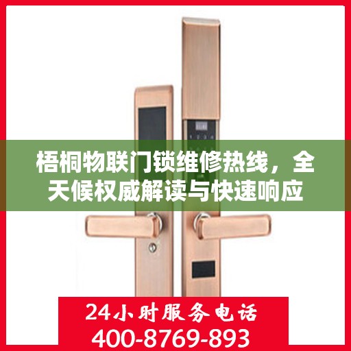 梧桐物联门锁维修热线，全天候权威解读与快速响应