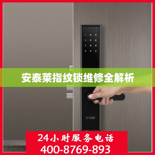 安泰莱指纹锁维修全解析
