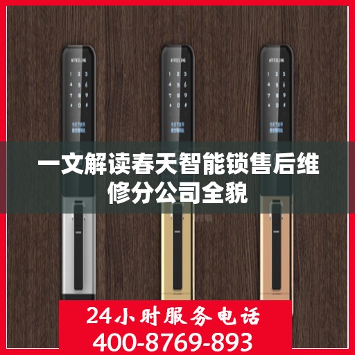 一文解读春天智能锁售后维修分公司全貌