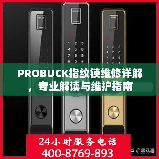 PROBUCK指纹锁维修详解，专业解读与维护指南