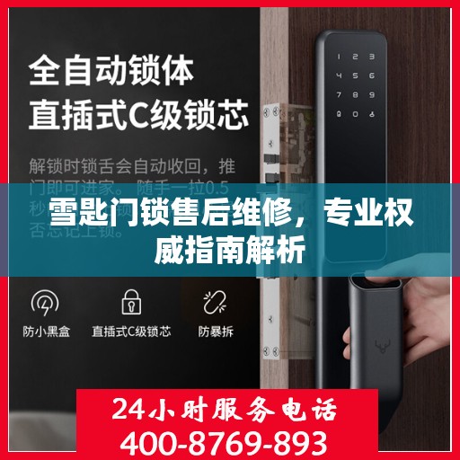 雪匙门锁售后维修，专业权威指南解析