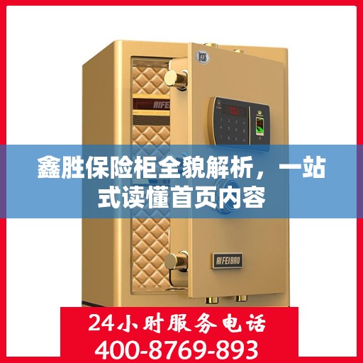 鑫胜保险柜全貌解析，一站式读懂首页内容