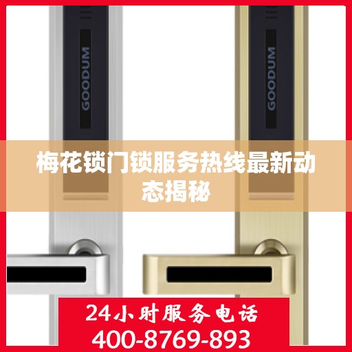 梅花锁门锁服务热线最新动态揭秘