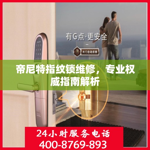 帝尼特指纹锁维修，专业权威指南解析