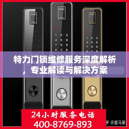 特力门锁维修服务深度解析，专业解读与解决方案
