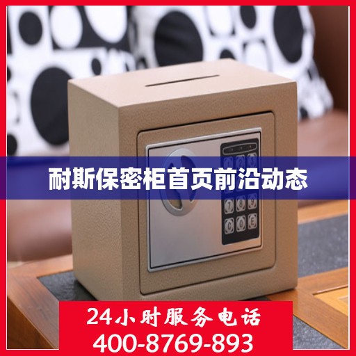 耐斯保密柜首页前沿动态