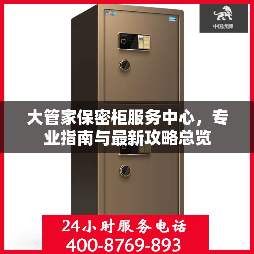 大管家保密柜服务中心，专业指南与最新攻略总览