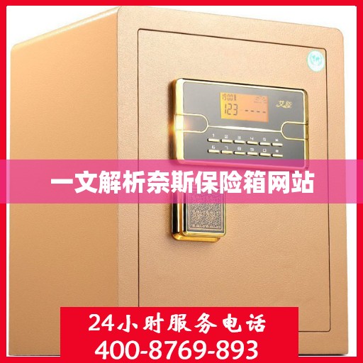 一文解析奈斯保险箱网站