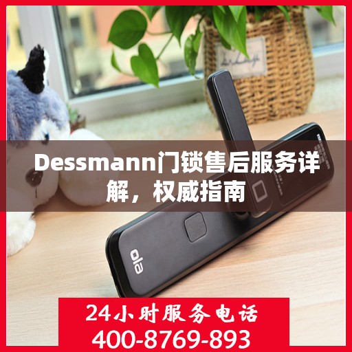 Dessmann门锁售后服务详解，权威指南