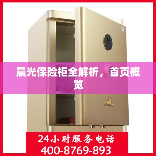 晨光保险柜全解析，首页概览